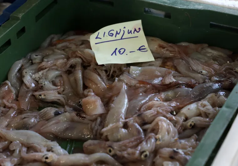 Orada 20, brancin 25, zubatac 30 eura, Pogledajte cijene ribe u ribarnici