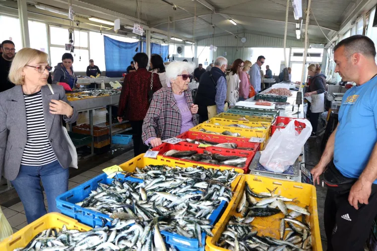 Orada 20, brancin 25, zubatac 30 eura, Pogledajte cijene ribe u ribarnici