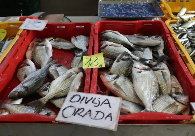 Orada 20, brancin 25, zubatac 30 eura, Pogledajte cijene ribe u ribarnici