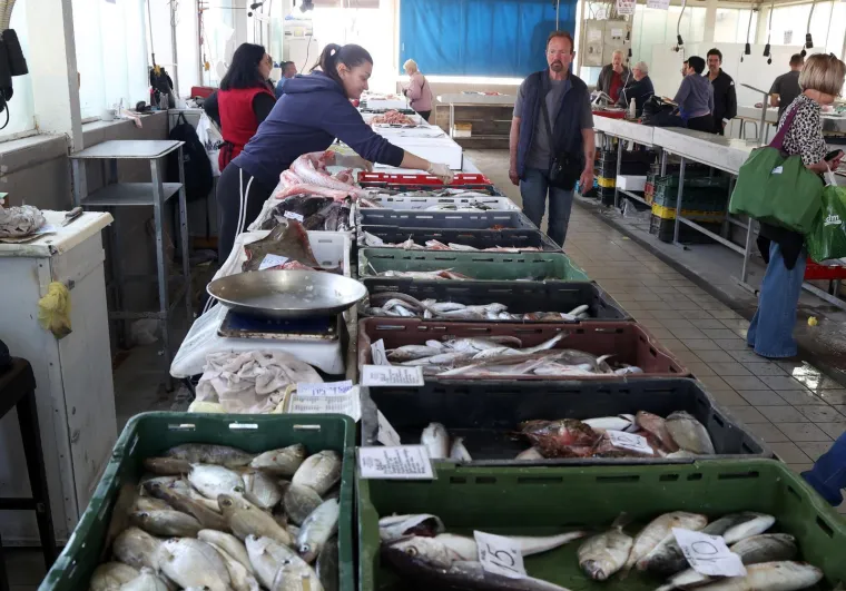 Orada 20, brancin 25, zubatac 30 eura, Pogledajte cijene ribe u ribarnici