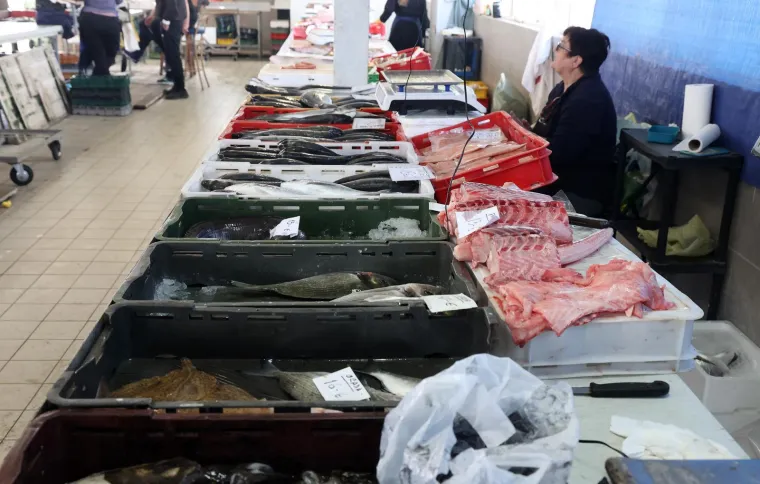 Orada 20, brancin 25, zubatac 30 eura, Pogledajte cijene ribe u ribarnici