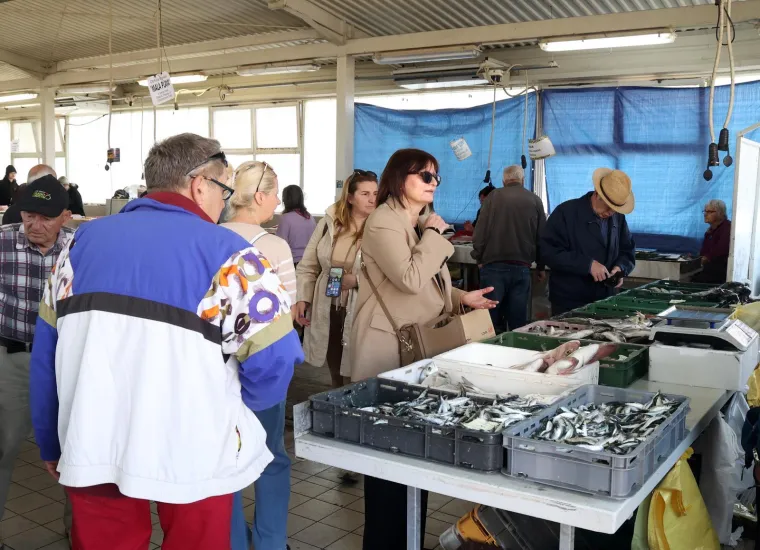 Orada 20, brancin 25, zubatac 30 eura, Pogledajte cijene ribe u ribarnici