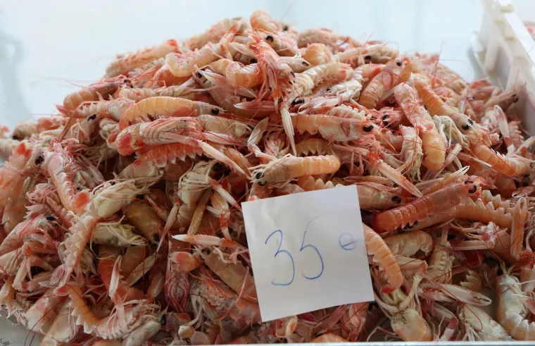 Orada 20, brancin 25, zubatac 30 eura, Pogledajte cijene ribe u ribarnici