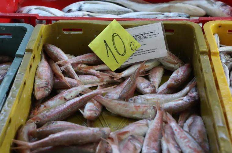 Orada 20, brancin 25, zubatac 30 eura, Pogledajte cijene ribe u ribarnici