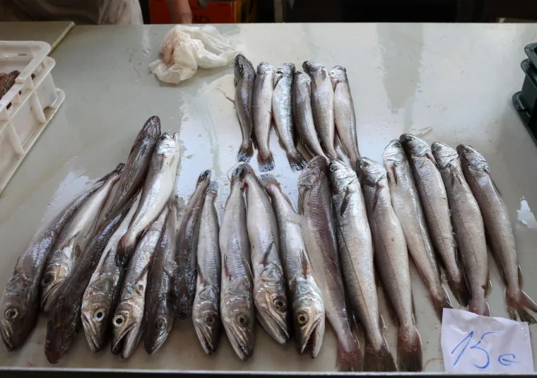 Orada 20, brancin 25, zubatac 30 eura, Pogledajte cijene ribe u ribarnici