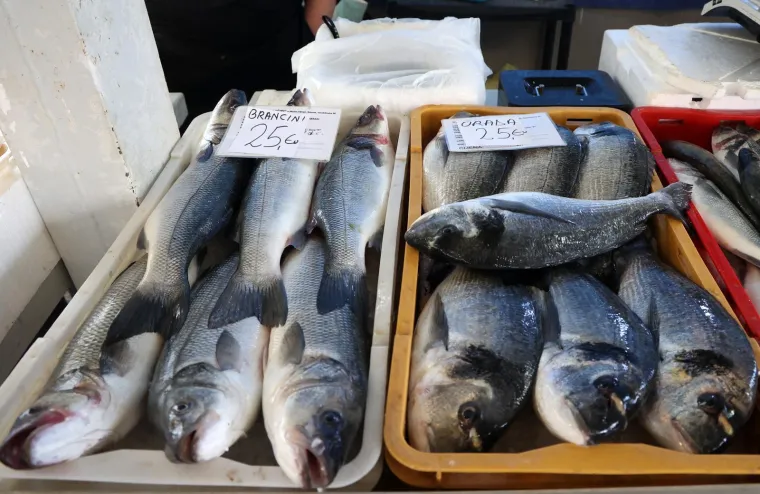 Orada 20, brancin 25, zubatac 30 eura, Pogledajte cijene ribe u ribarnici