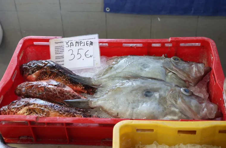 Orada 20, brancin 25, zubatac 30 eura, Pogledajte cijene ribe u ribarnici