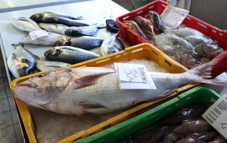 Orada 20, brancin 25, zubatac 30 eura, Pogledajte cijene ribe u ribarnici