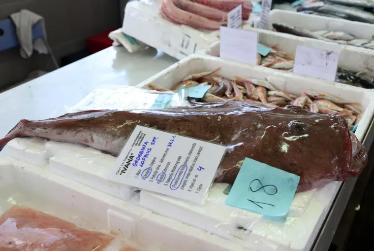 Orada 20, brancin 25, zubatac 30 eura, Pogledajte cijene ribe u ribarnici