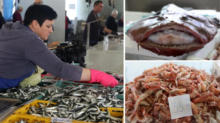 Orada 20, brancin 25, zubatac 30 eura, Pogledajte cijene ribe u ribarnici