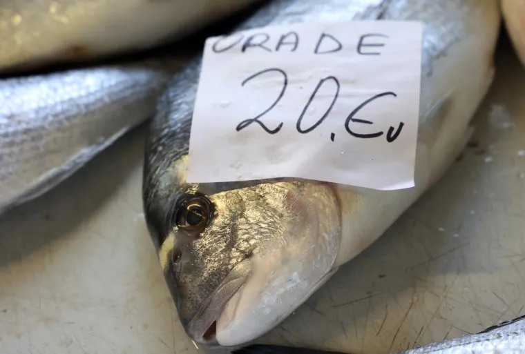 Orada 20, brancin 25, zubatac 30 eura, Pogledajte cijene ribe u ribarnici