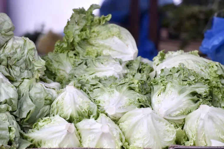 Moglo bi vas &scaron;okirati: Počela prodaja vrgoračkih jagoda, evo koliko ko&scaron;ta kilogram