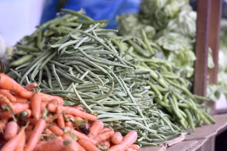 Moglo bi vas &scaron;okirati: Počela prodaja vrgoračkih jagoda, evo koliko ko&scaron;ta kilogram