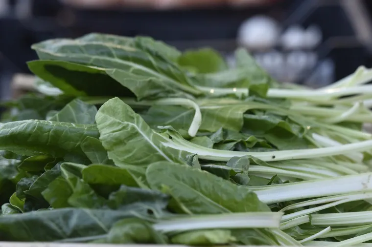 Moglo bi vas &scaron;okirati: Počela prodaja vrgoračkih jagoda, evo koliko ko&scaron;ta kilogram