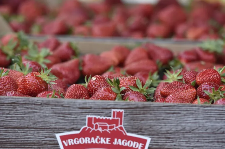 Moglo bi vas &scaron;okirati: Počela prodaja vrgoračkih jagoda, evo koliko ko&scaron;ta kilogram