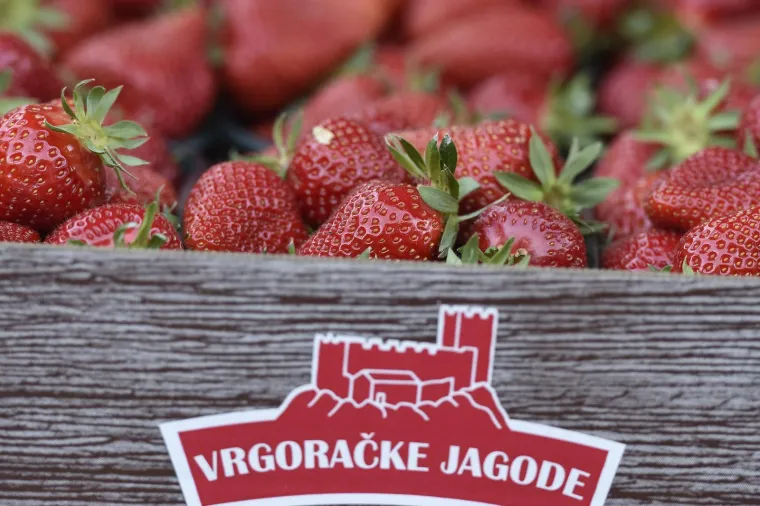 Moglo bi vas &scaron;okirati: Počela prodaja vrgoračkih jagoda, evo koliko ko&scaron;ta kilogram