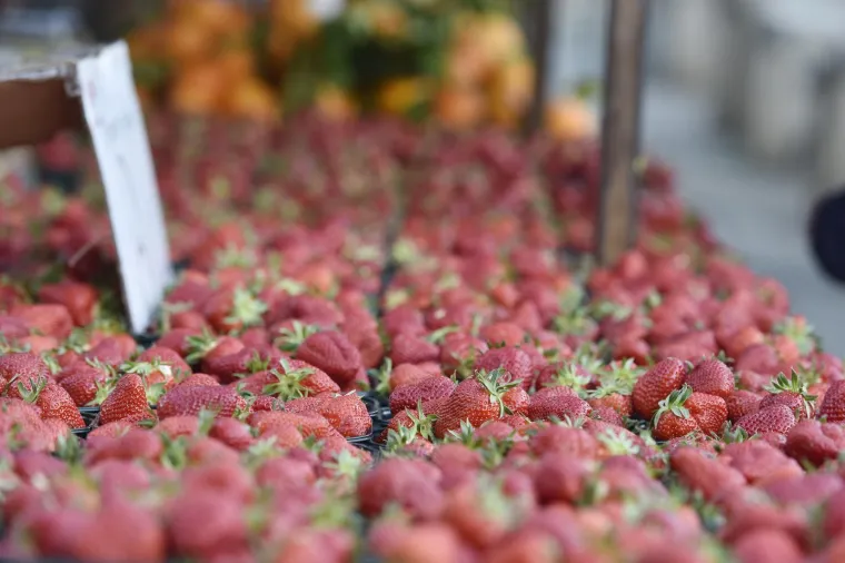 Moglo bi vas &scaron;okirati: Počela prodaja vrgoračkih jagoda, evo koliko ko&scaron;ta kilogram