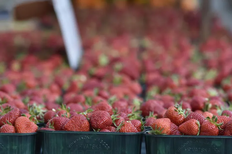 Moglo bi vas &scaron;okirati: Počela prodaja vrgoračkih jagoda, evo koliko ko&scaron;ta kilogram
