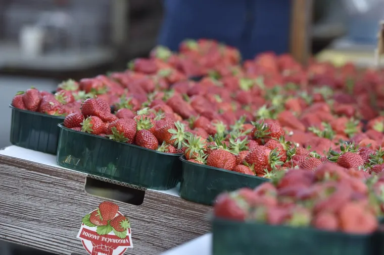 Moglo bi vas &scaron;okirati: Počela prodaja vrgoračkih jagoda, evo koliko ko&scaron;ta kilogram