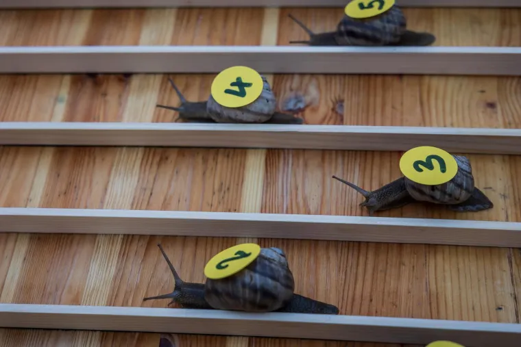 Je li ovo najzabavnija utrka u Hrvatskoj? Donosimo detalje: 'Želja nam je da postane tradicija'