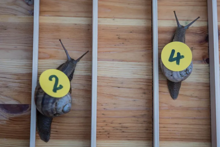 Je li ovo najzabavnija utrka u Hrvatskoj? Donosimo detalje: 'Želja nam je da postane tradicija'