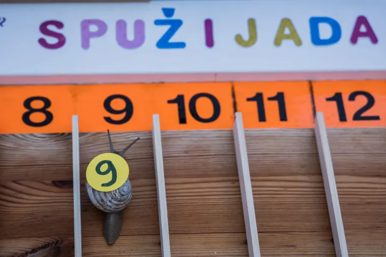 Je li ovo najzabavnija utrka u Hrvatskoj? Donosimo detalje: 'Želja nam je da postane tradicija'