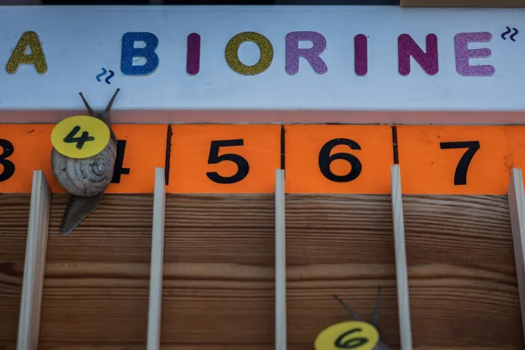 Je li ovo najzabavnija utrka u Hrvatskoj? Donosimo detalje: 'Želja nam je da postane tradicija'