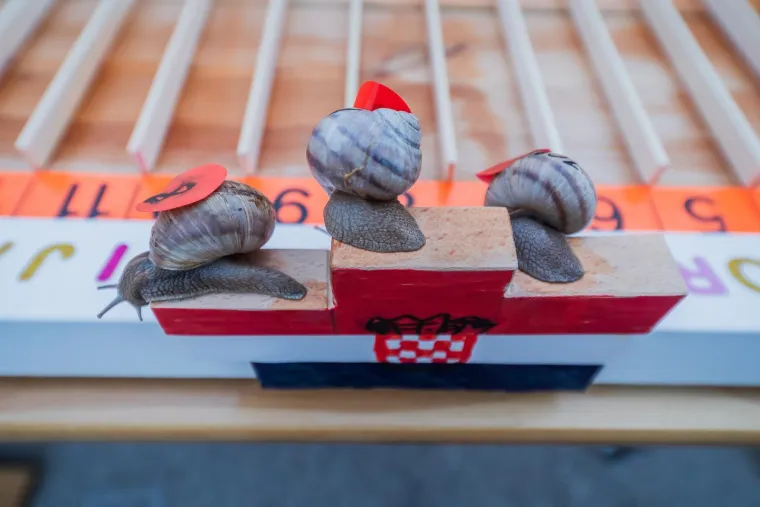 Je li ovo najzabavnija utrka u Hrvatskoj? Donosimo detalje: 'Želja nam je da postane tradicija'