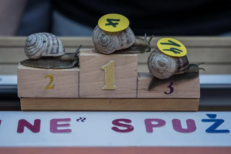 Je li ovo najzabavnija utrka u Hrvatskoj? Donosimo detalje: 'Želja nam je da postane tradicija'