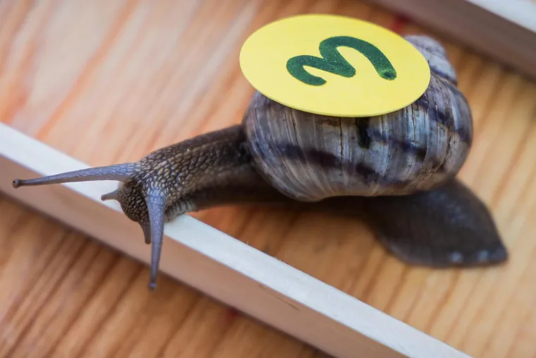 Je li ovo najzabavnija utrka u Hrvatskoj? Donosimo detalje: 'Želja nam je da postane tradicija'