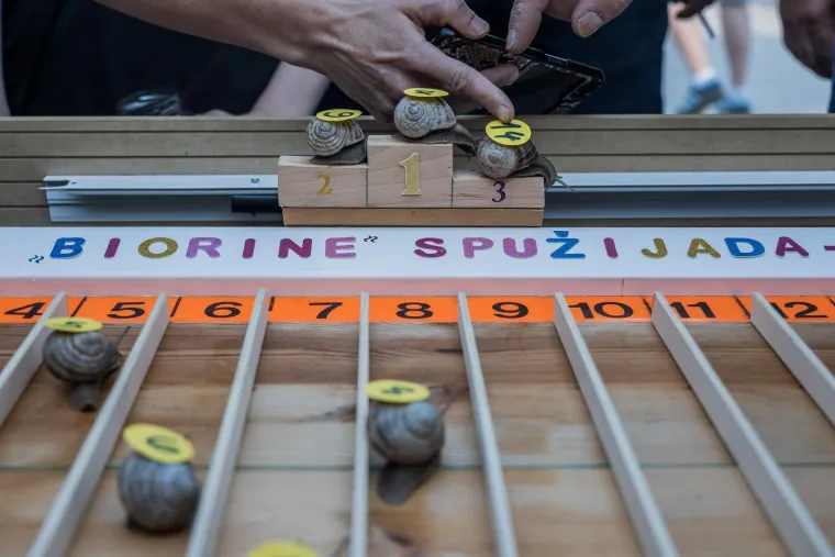 Je li ovo najzabavnija utrka u Hrvatskoj? Donosimo detalje: 'Želja nam je da postane tradicija'