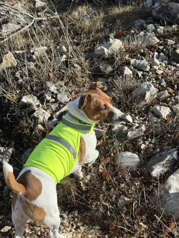 Osvaja karakterom, stavom i inteligencijom: Fotografije koje će vam uljep&scaron;ati dan