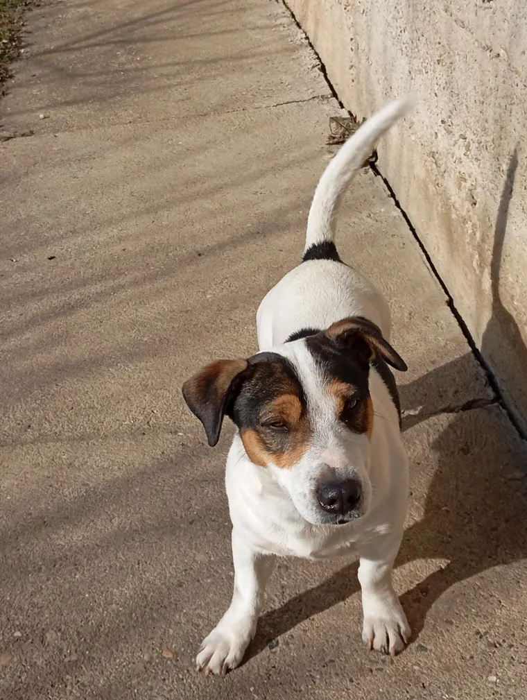 Osvaja karakterom, stavom i inteligencijom: Fotografije koje će vam uljep&scaron;ati dan