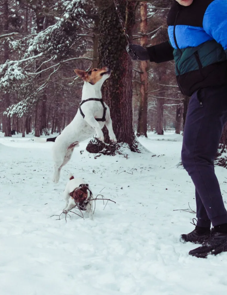 Osvaja karakterom, stavom i inteligencijom: Fotografije koje će vam uljep&scaron;ati dan