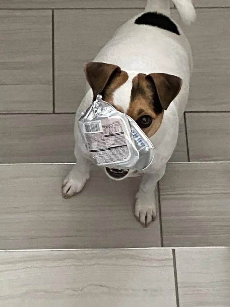 Osvaja karakterom, stavom i inteligencijom: Fotografije koje će vam uljep&scaron;ati dan