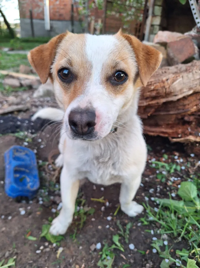 Osvaja karakterom, stavom i inteligencijom: Fotografije koje će vam uljep&scaron;ati dan