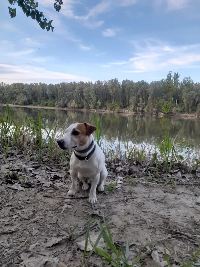 Osvaja karakterom, stavom i inteligencijom: Fotografije koje će vam uljep&scaron;ati dan