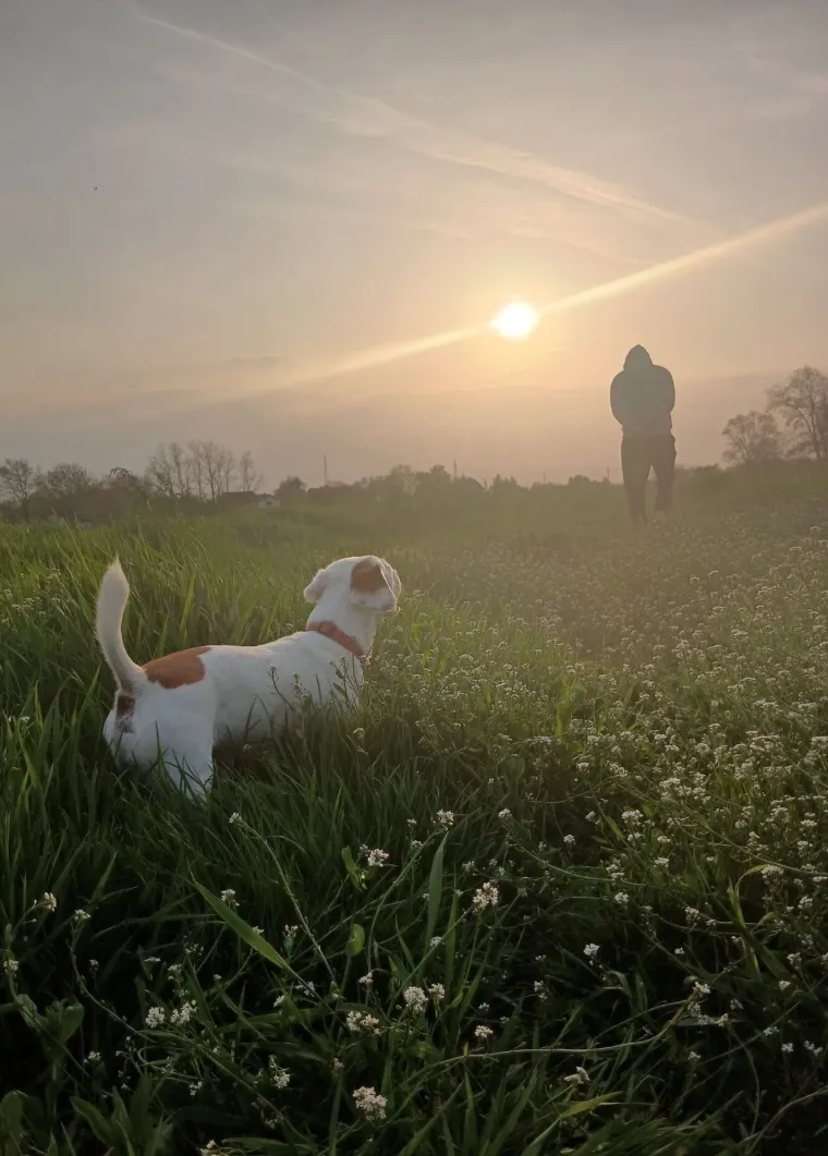 Osvaja karakterom, stavom i inteligencijom: Fotografije koje će vam uljep&scaron;ati dan