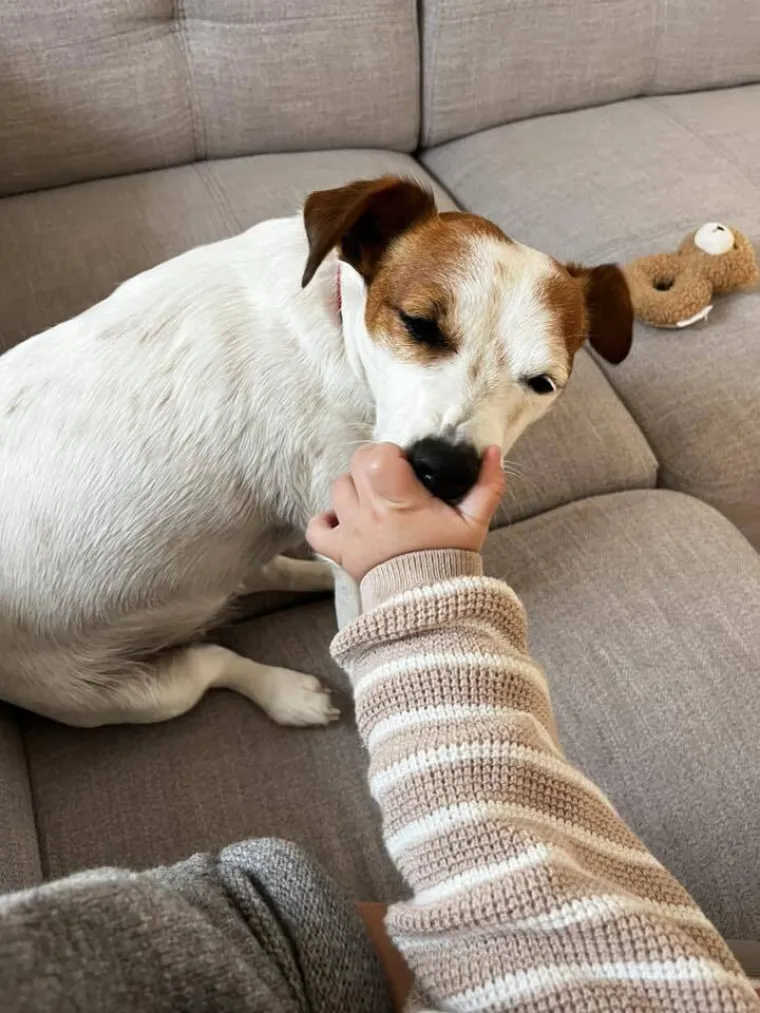 Osvaja karakterom, stavom i inteligencijom: Fotografije koje će vam uljep&scaron;ati dan