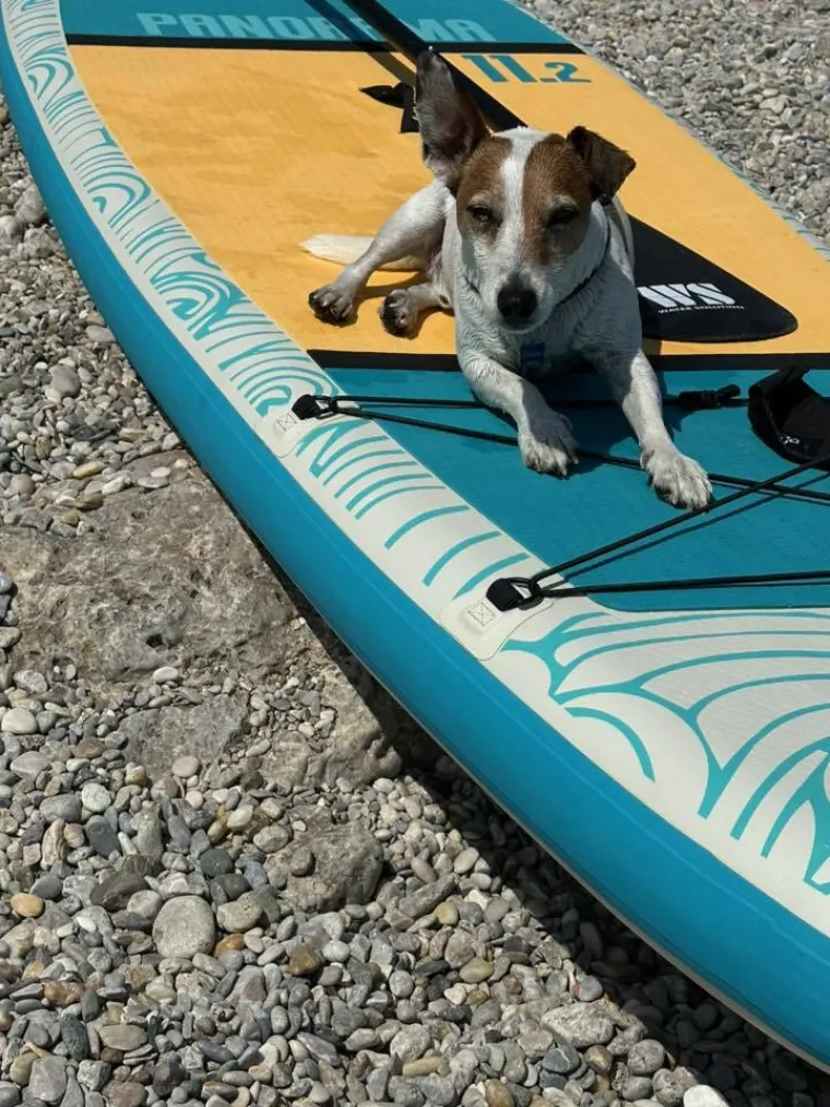 Osvaja karakterom, stavom i inteligencijom: Fotografije koje će vam uljep&scaron;ati dan