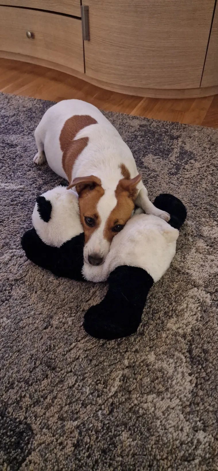 Osvaja karakterom, stavom i inteligencijom: Fotografije koje će vam uljep&scaron;ati dan