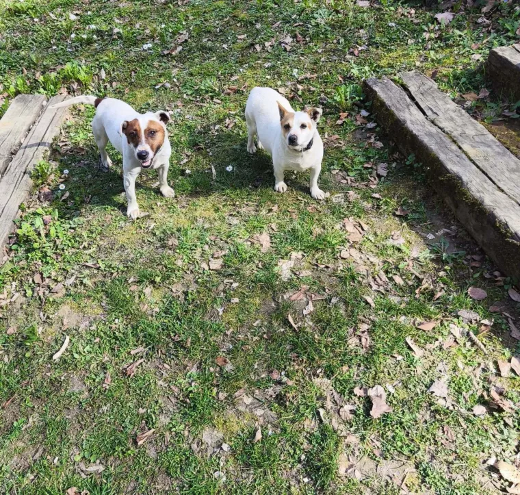 Osvaja karakterom, stavom i inteligencijom: Fotografije koje će vam uljep&scaron;ati dan