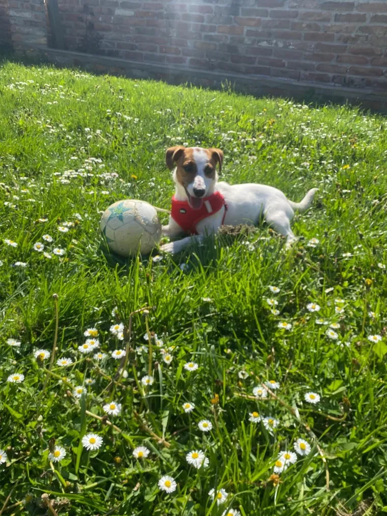 Osvaja karakterom, stavom i inteligencijom: Fotografije koje će vam uljep&scaron;ati dan