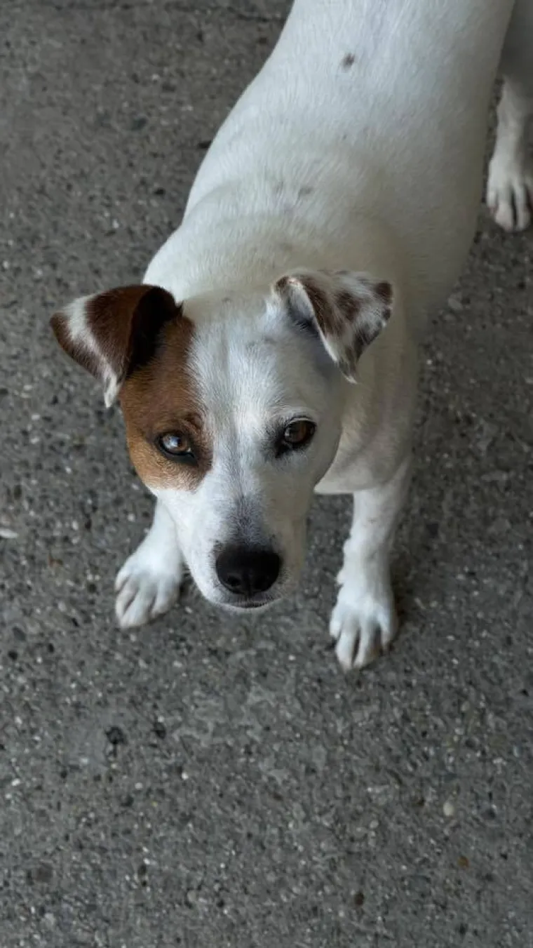 Osvaja karakterom, stavom i inteligencijom: Fotografije koje će vam uljep&scaron;ati dan