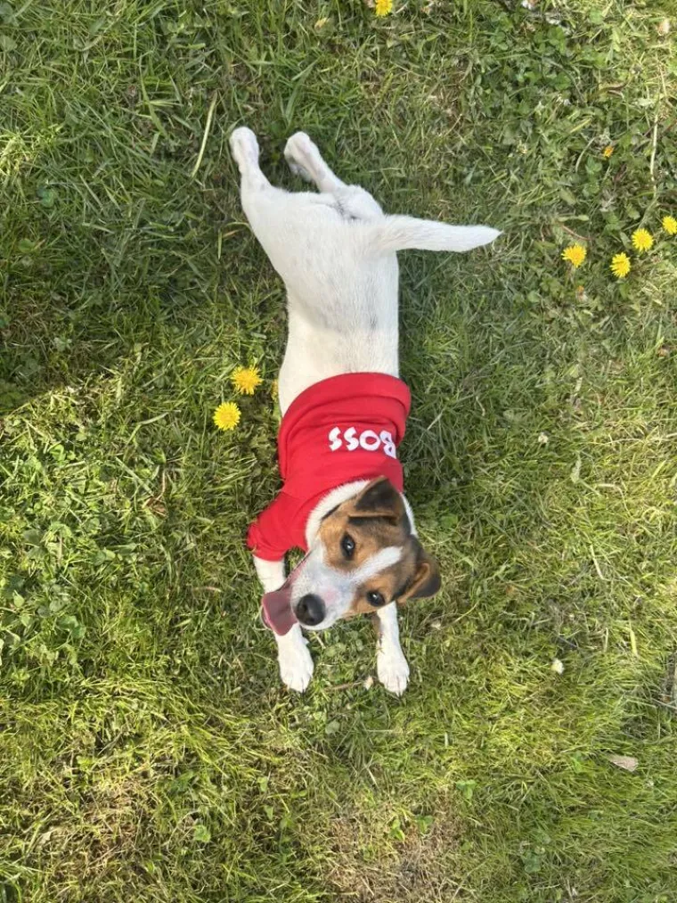 Osvaja karakterom, stavom i inteligencijom: Fotografije koje će vam uljep&scaron;ati dan