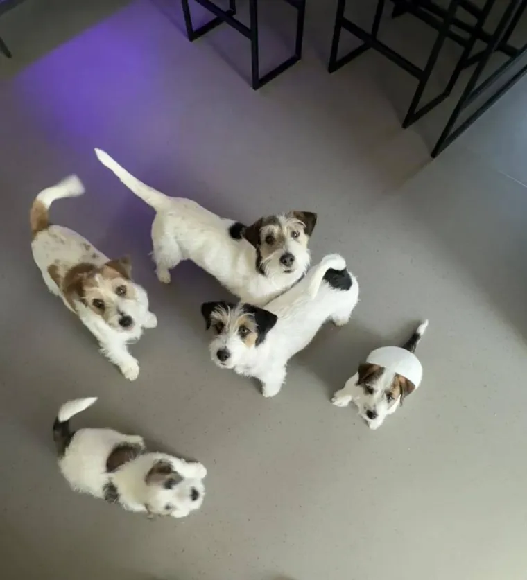 Osvaja karakterom, stavom i inteligencijom: Fotografije koje će vam uljep&scaron;ati dan