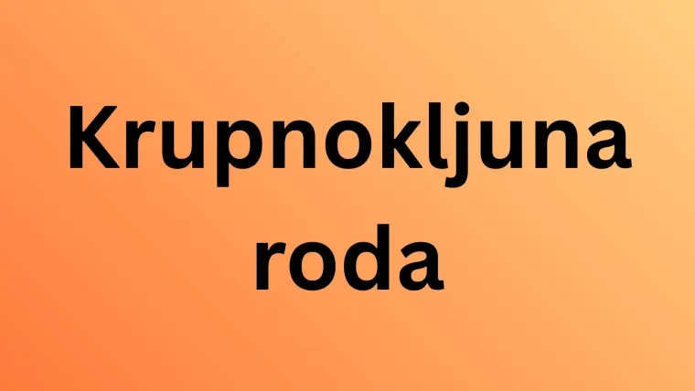 Samo 10 posto ljudi prepoznaje sve ove neobične životinje: Jesi li među njima?