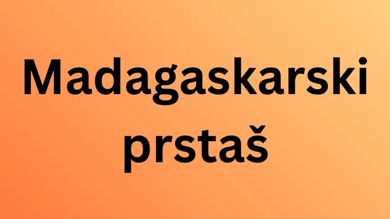 Samo 10 posto ljudi prepoznaje sve ove neobične životinje: Jesi li među njima?