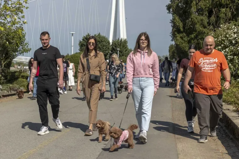 Kad se pojavi ovakva brineta, sve ostalo pada u drugi plan: Lijepa legica ukrala show