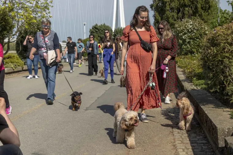 Kad se pojavi ovakva brineta, sve ostalo pada u drugi plan: Lijepa legica ukrala show